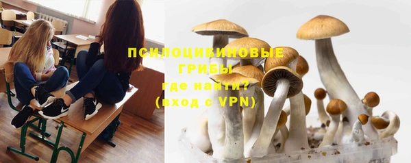 синтетический гашиш Медвежьегорск