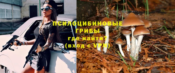 герыч Магадан