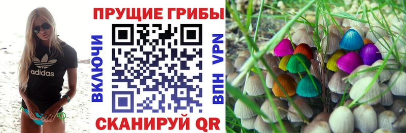 Купить где  Луга  Галлюциногенные грибы Magic Shrooms 