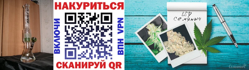 Купить  Луга  Шишки марихуана тримм 